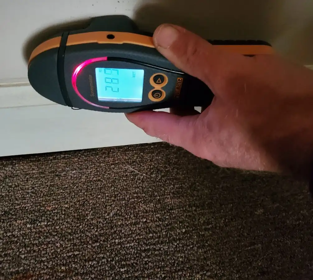 Moisture detection at baseboard during Sewage Cleanup & Sanitation in Sugar Grove